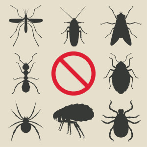 31403942 - silhouette insects set